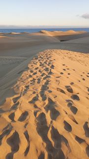 GC-Dunas de Maspalomas sunset 2026-129.jpg